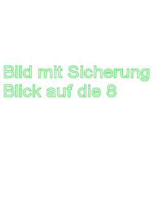 sicherung_3_00